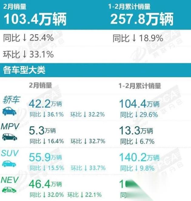 2月国内新能源汽车厂商销量榜