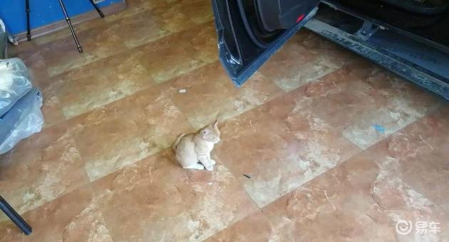 途昂灯光科技升级全记录：液晶仪表与四色氛围灯实战手记