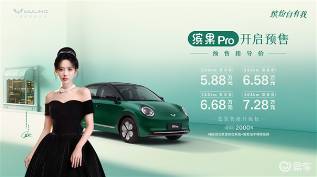 引领代步车新风尚，精致生活尽在掌握