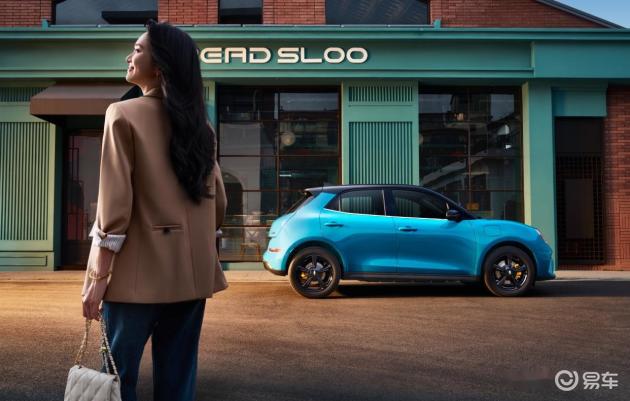 小预算，谁更懂都市年轻人的心？欧拉好猫与比亚迪海豚深度对比