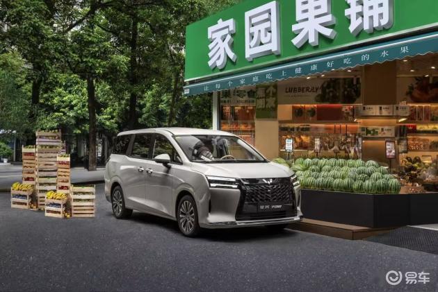 家里人口多就选择这两款车，价格适中，保养经济，适合农村家庭使用。