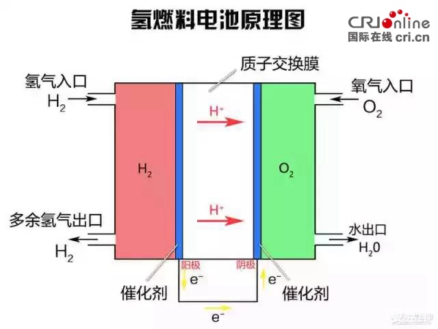 动物拜月的原理_资料分享 高考生物必考16 个实验原理大解析, 好资料一份就够了(3)