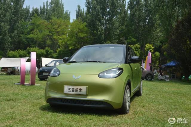 比亚迪新能源车销量分析_4月新能源车销量排名_新能源汽车