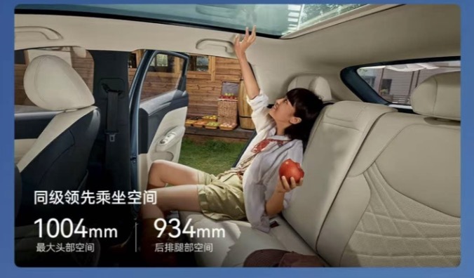 极狐T1 vs 缤果S:年轻人的第一台电车,谁更懂你?