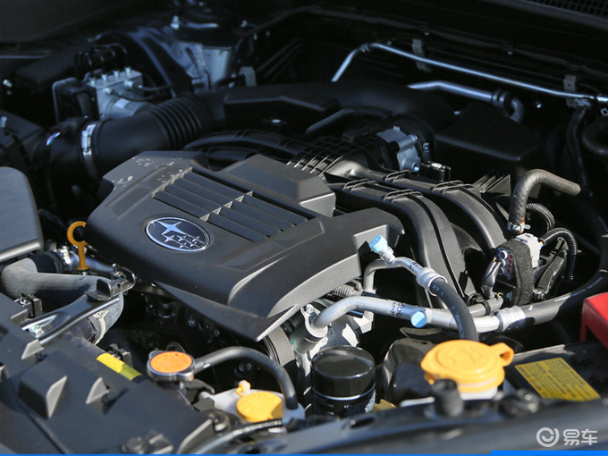 森林人1.放置情绪的"第三空间"