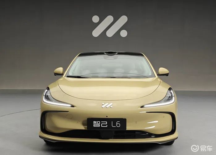 这都不行的话，以后就没车可买了