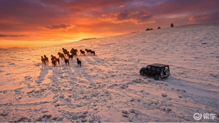 212 T01长风柴油上市,售价19.88万元