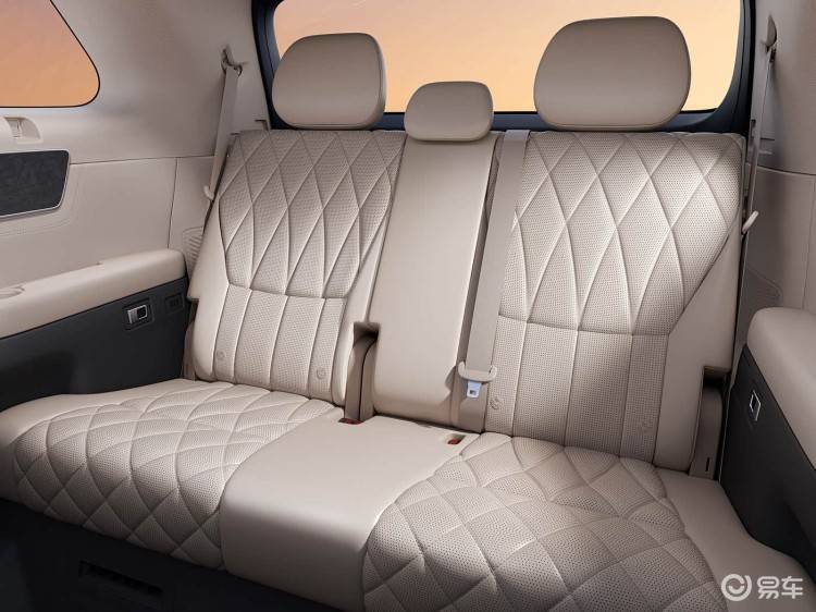 比亚迪入局！全尺寸绿牌SUV官图发布