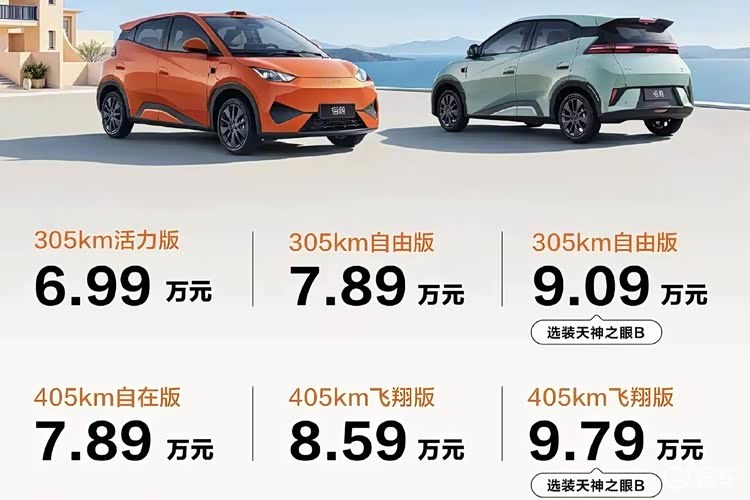 2026款比亚迪海鸥上市，6.99万起能否掀代步车风暴？
