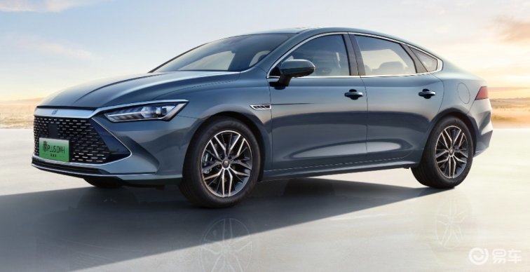 秦plus新能源海鸥销量为6346辆_易车