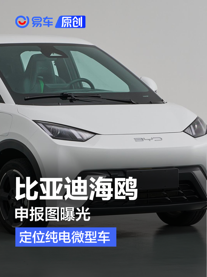比亚迪海鸥申报图曝光 定位纯电微型车_易车