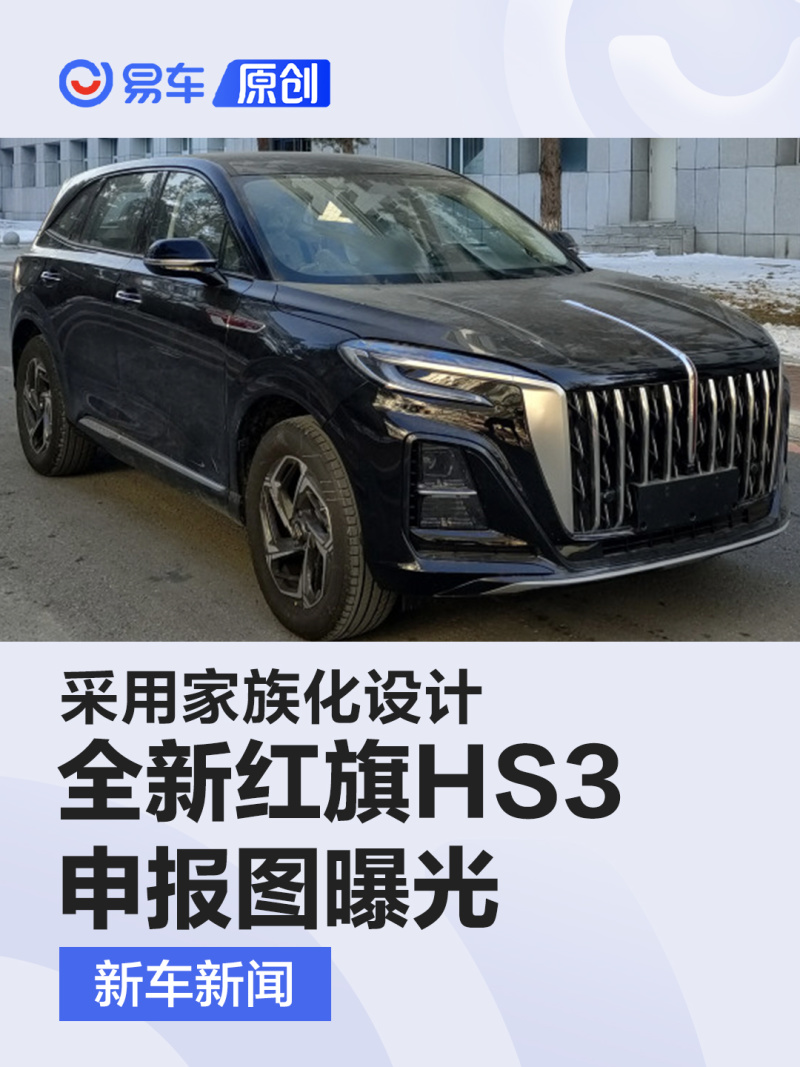 红旗hs3燃油申报图片