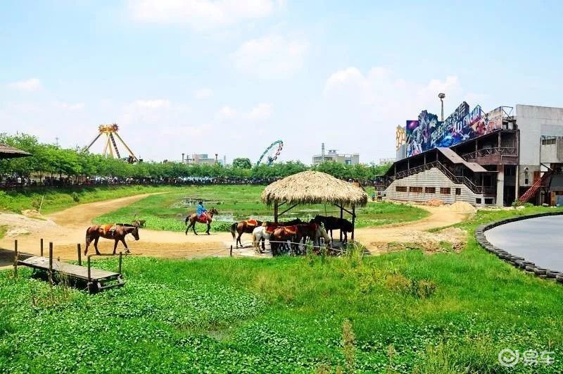 在惠州古石龙休闲农场 不仅可以体验好玩有趣的家庭竞技 还可领略原