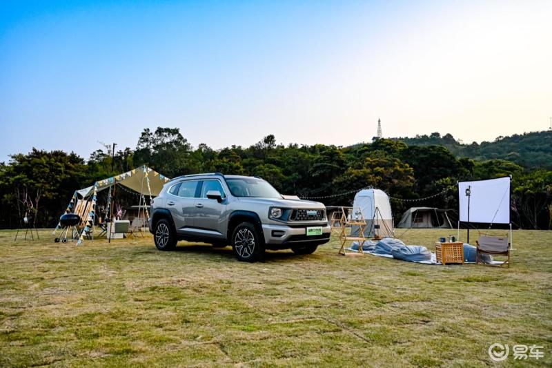 草地上的卡车  描述已自动生成