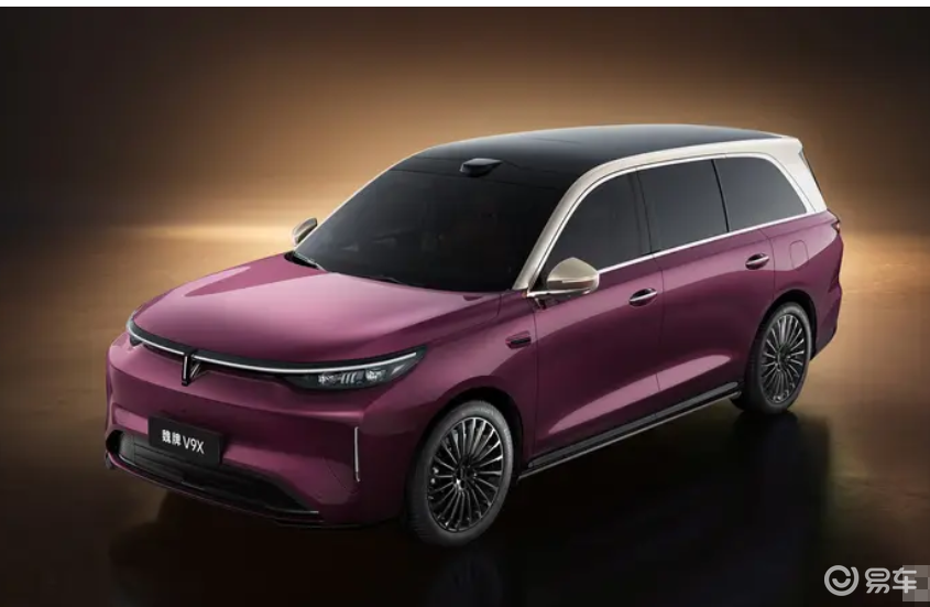 魏牌V9X外观图发布，5299mm车身+紫金双拼色