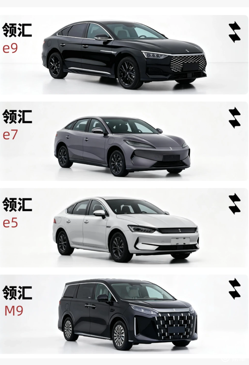 彻底撕掉网约车标签！比亚迪领汇独立