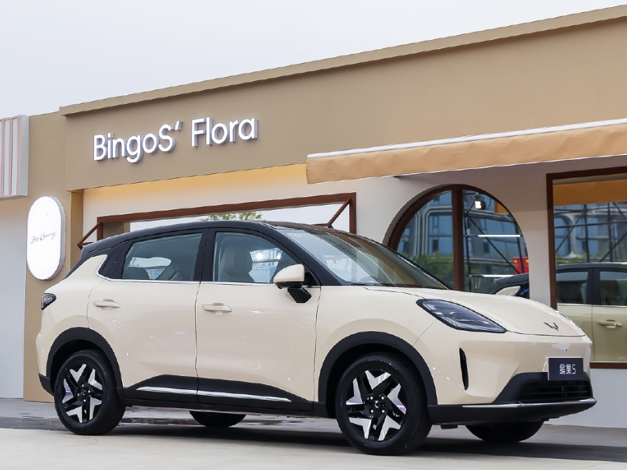 科技控VS务实派,选萤火虫还是缤果S