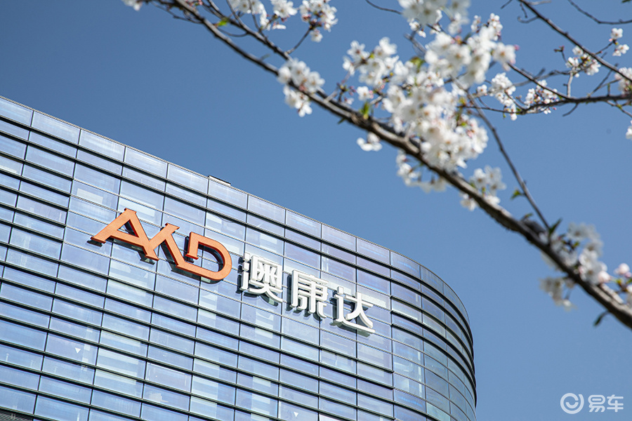 中国二手车领导者