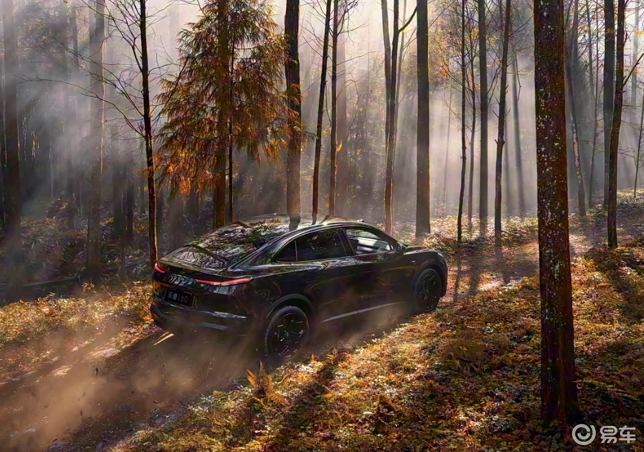 乐道L60黑骑士版官图发布 12月5日上市 限量666台