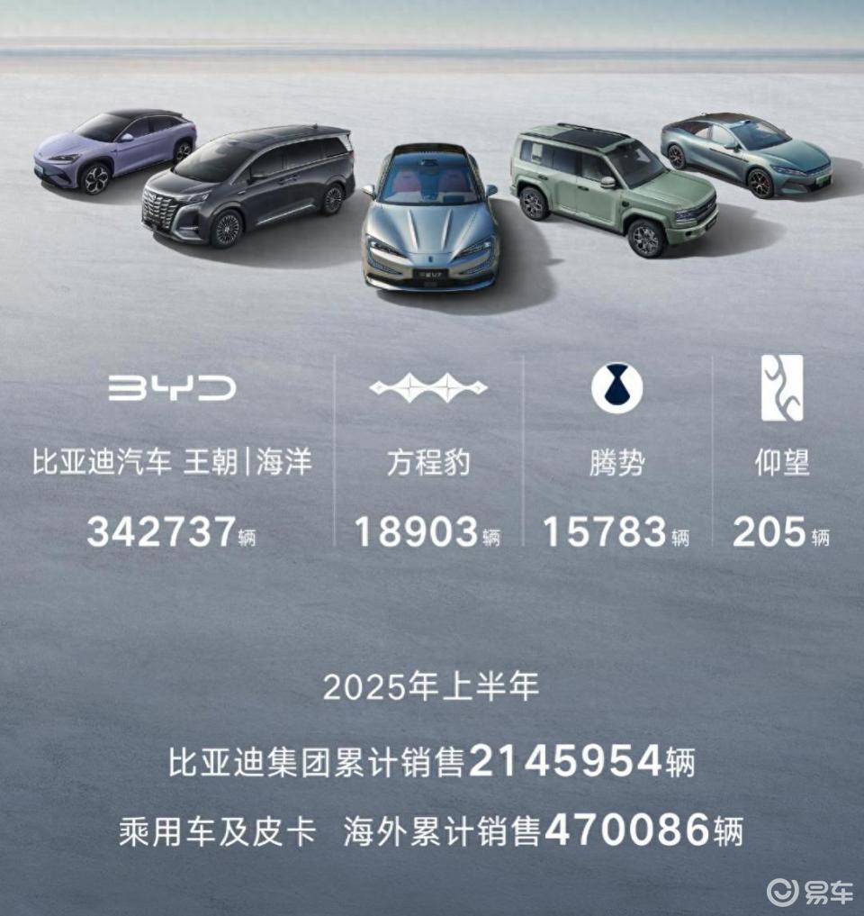 比亚迪 汽车 绿色出行_比亚迪全球销量增长_欧洲新能源汽车市场拓展