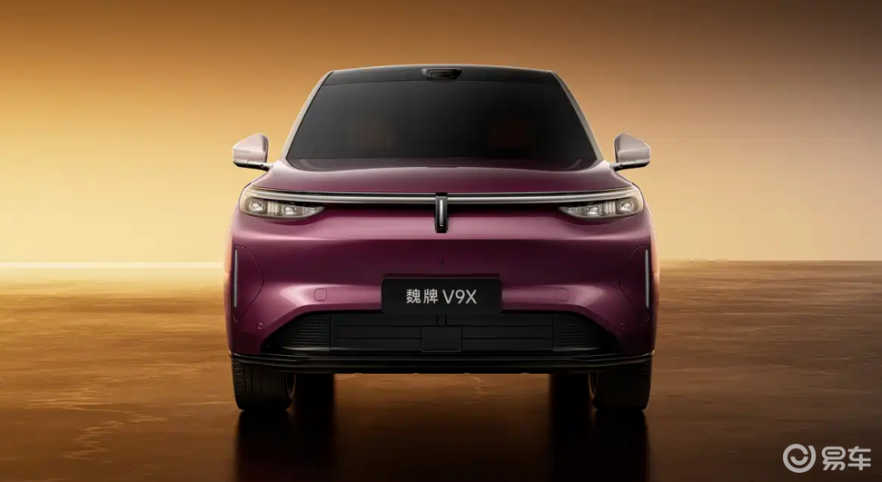 魏牌V9X官图发布！网友：门把手终于听劝了