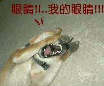 【易晓车】最新交规已出 这些违规驾驶会被扣12分