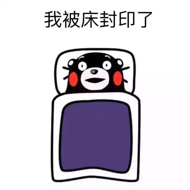 冬天不要开车出门了