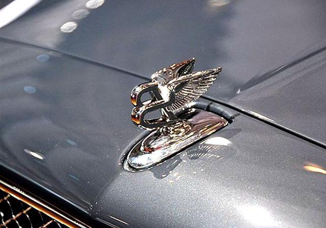 为什么汽车立标这么受贼欢迎原因竟然在这