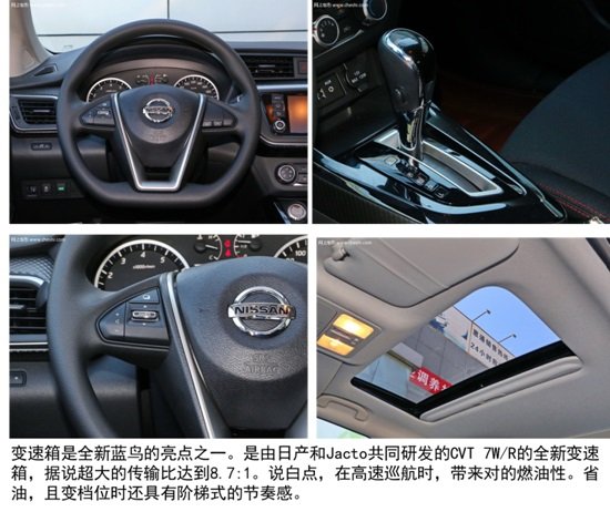 为年轻而生 东风日产全新蓝鸟用车报告