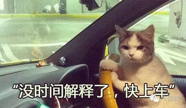 老司机带带我出处_老司机网络含义_老干部老司机是什么梗