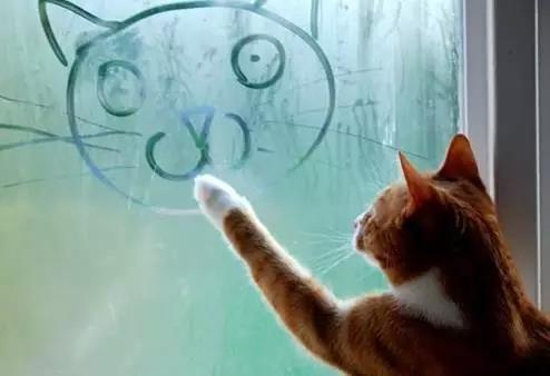 玻璃起雾不要慌小编给你支个招