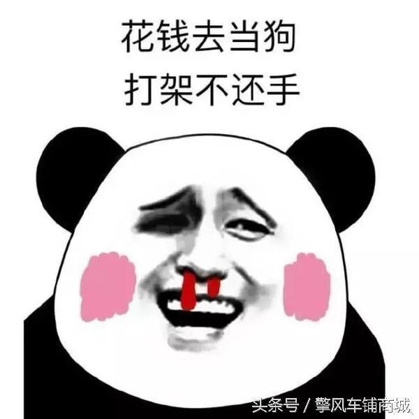 花钱去当狗,打架不还手
