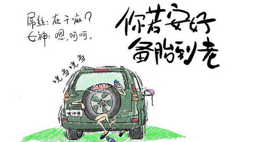 谁说备胎车差?花钱更少还不输"正配"