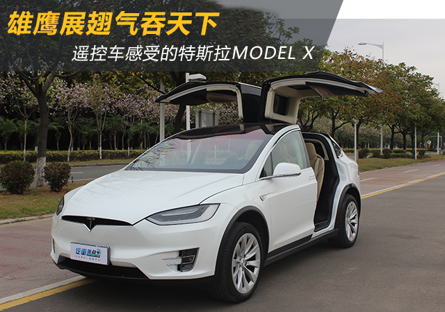 雄鹰展翅气吞天下遥控车感受的特斯拉model