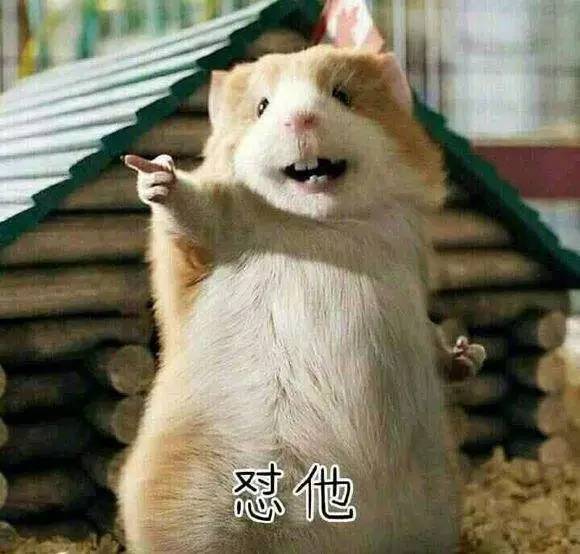 你乱停车堵着我了 我的502已经准备好了