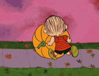 336_258gif 动态图 动图