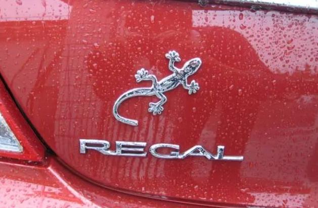 车屁股上贴壁虎到底是什么意思