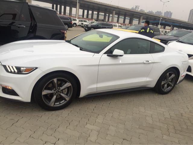 17款福特野马奔驰的骏马极强的视觉冲击力