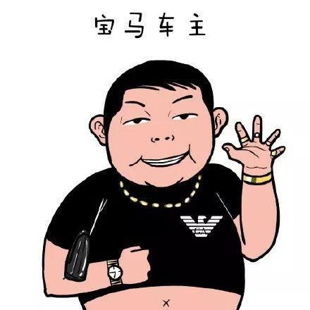 各大品牌车主画像众泰车主表不服奥迪车主已哭晕