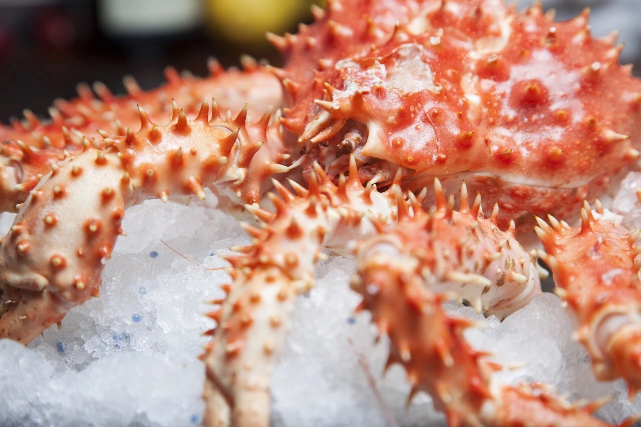 吃货的夏日终极追求——深海帝王蟹