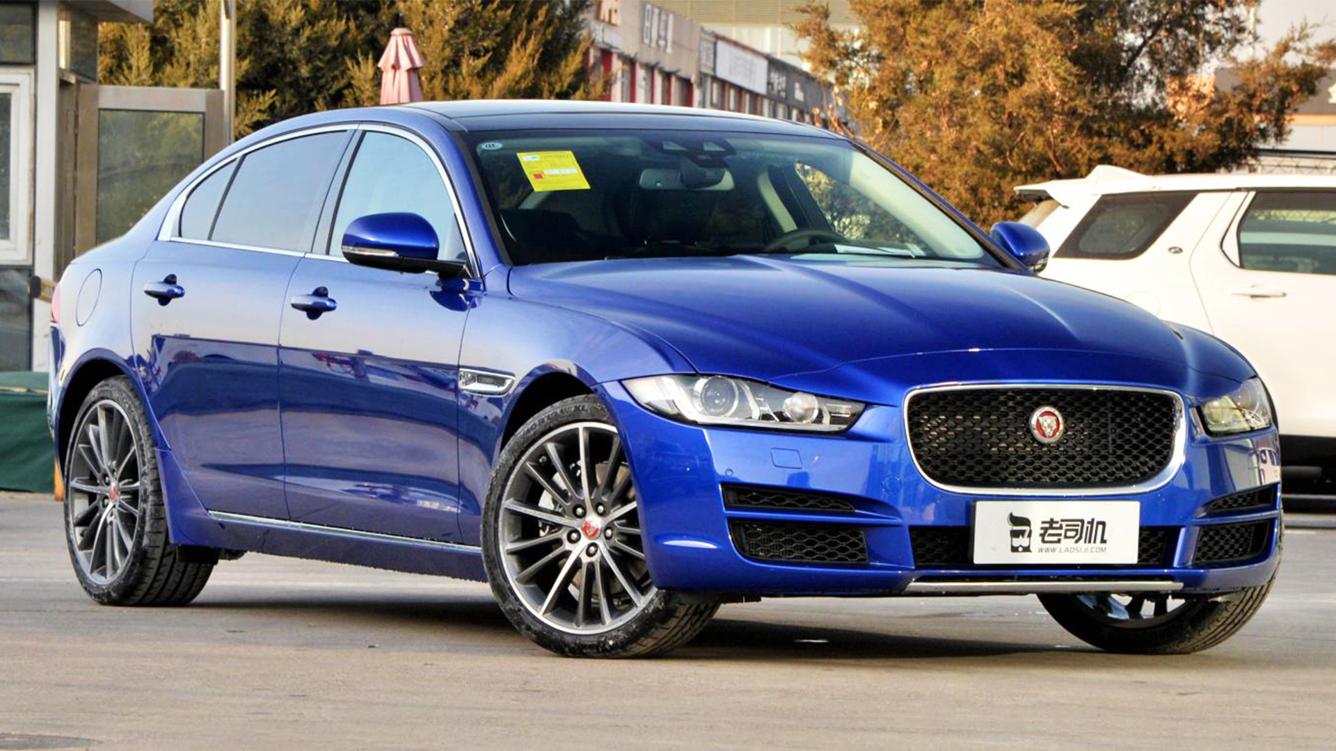 英伦范儿捷豹xel商务运动两不误