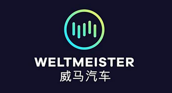 五款极具特色的造车新势力车标9成老司机认不全你认识几个