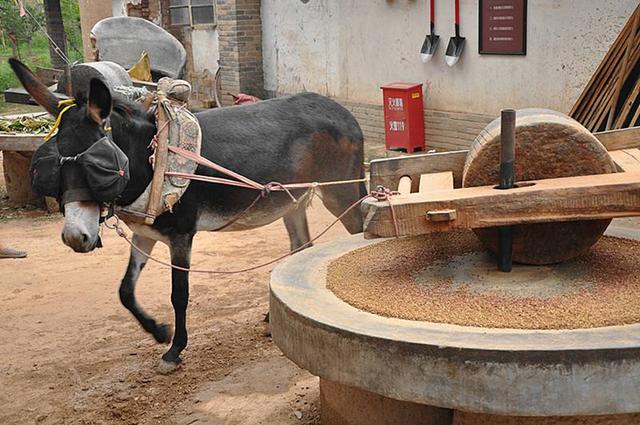 一不留神还要搭上好几万?