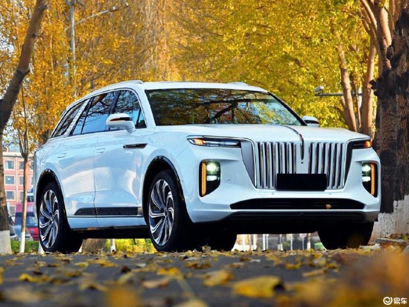 [红旗e-hs9 2021款 旗·领版 四座]怎么样口碑好不好-车友s木瓜很简单