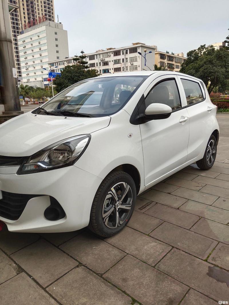 [奔奔e-star 2021款 国民版 心悦版 磷酸铁锂 31.