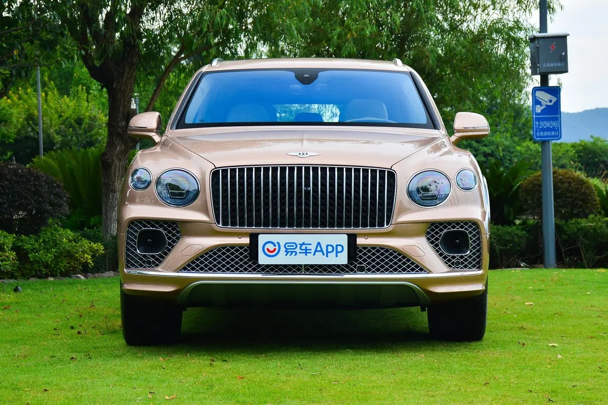 范·迪塞尔开什么车?