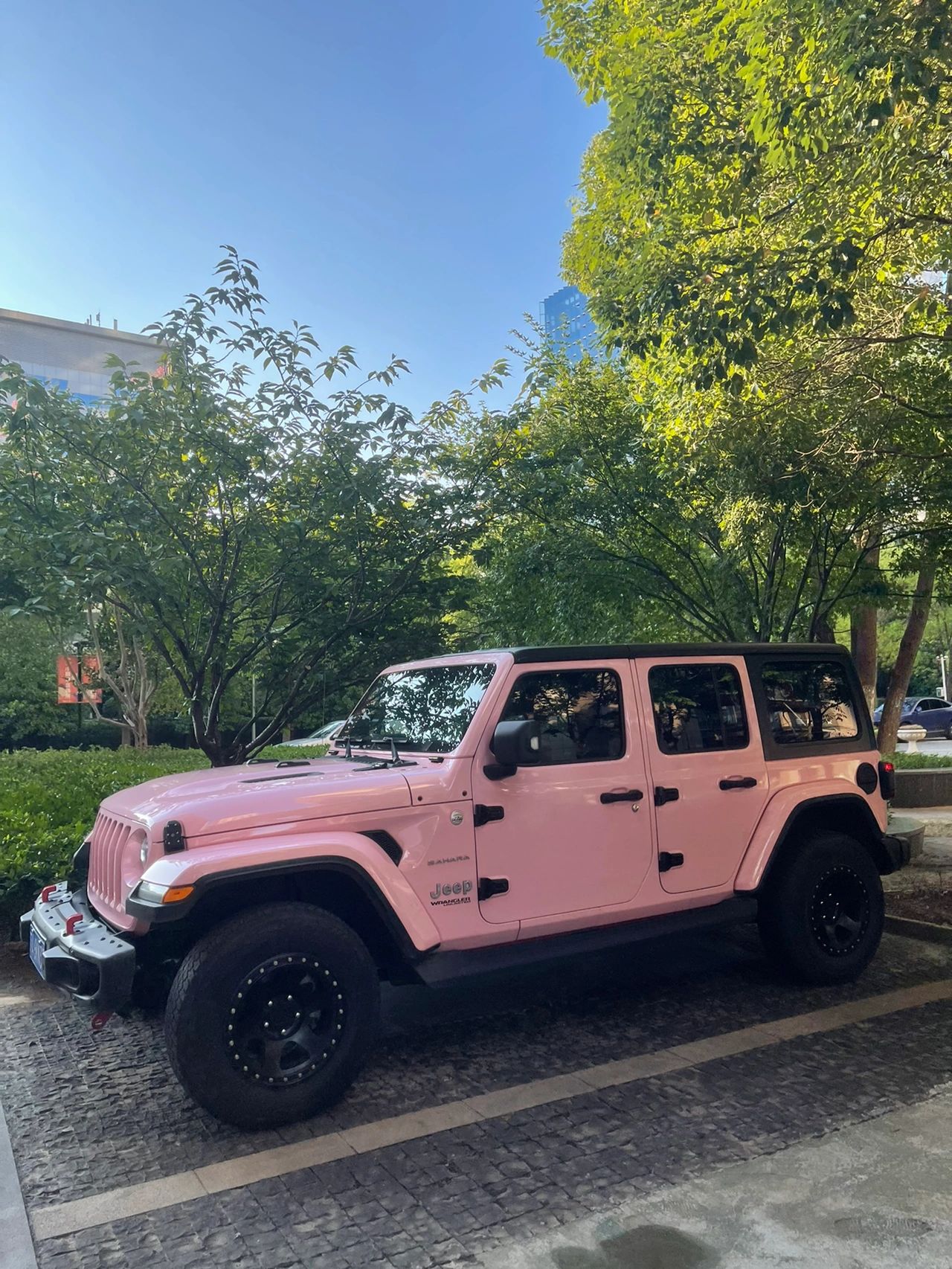 女生都喜爱的粉色牧马人