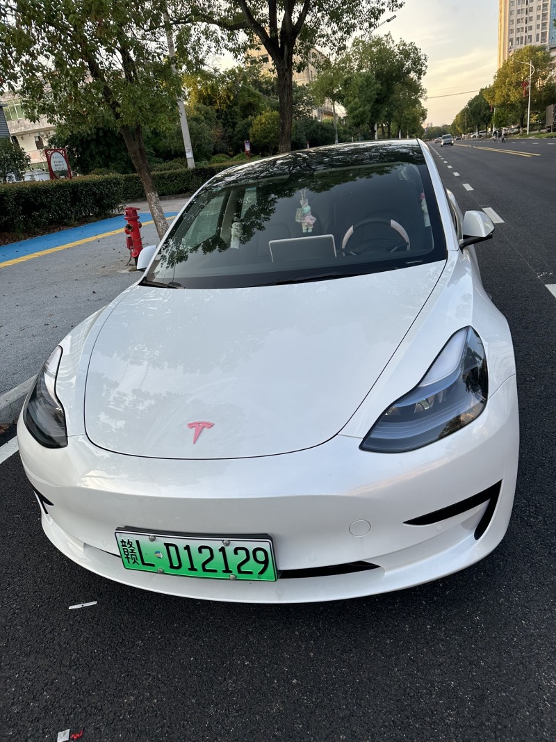 [model 3 2021款 performance高性能全轮驱动版 3d3/3d6]怎么样口碑好