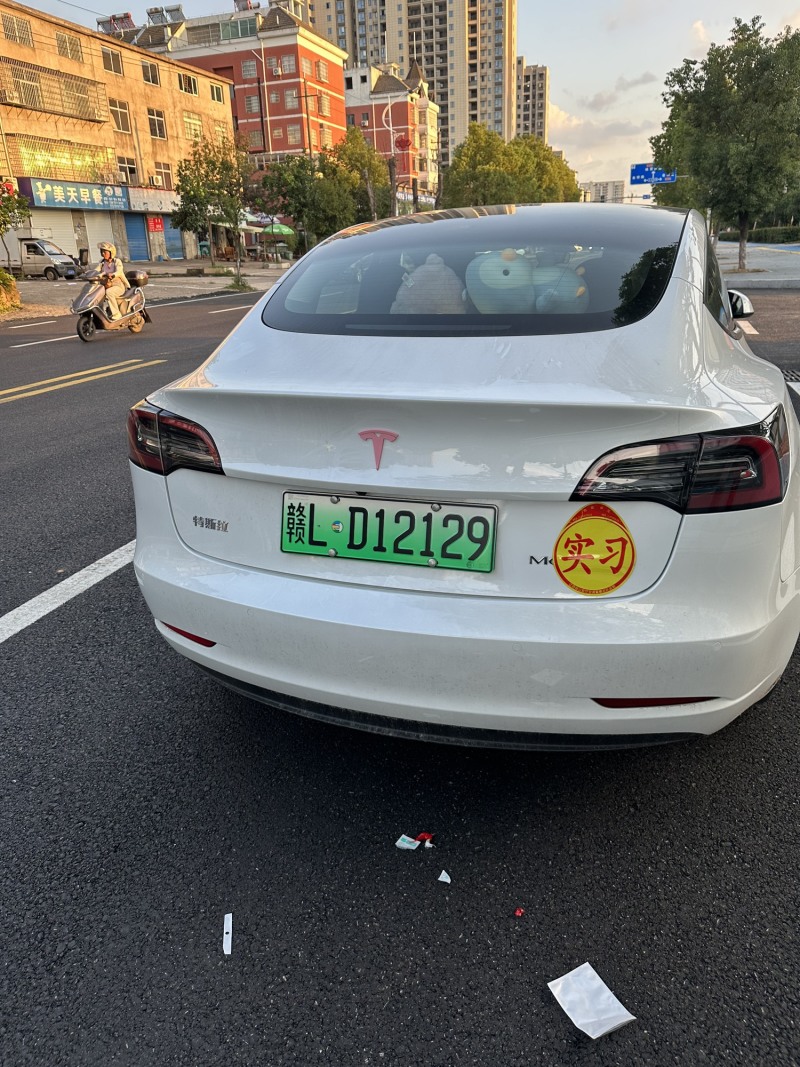 [model 3 2021款 performance高性能全轮驱动版 3d3/3d6]怎么样口碑好