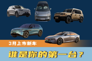 【与众08】大众与众08报价,与众08图片_易车